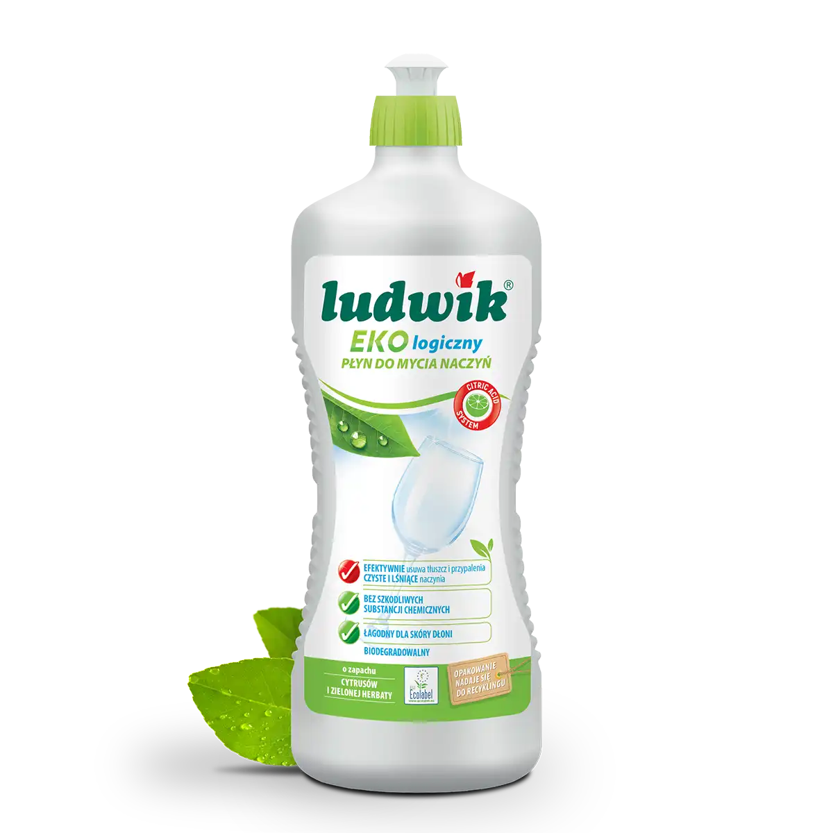 Ludwik