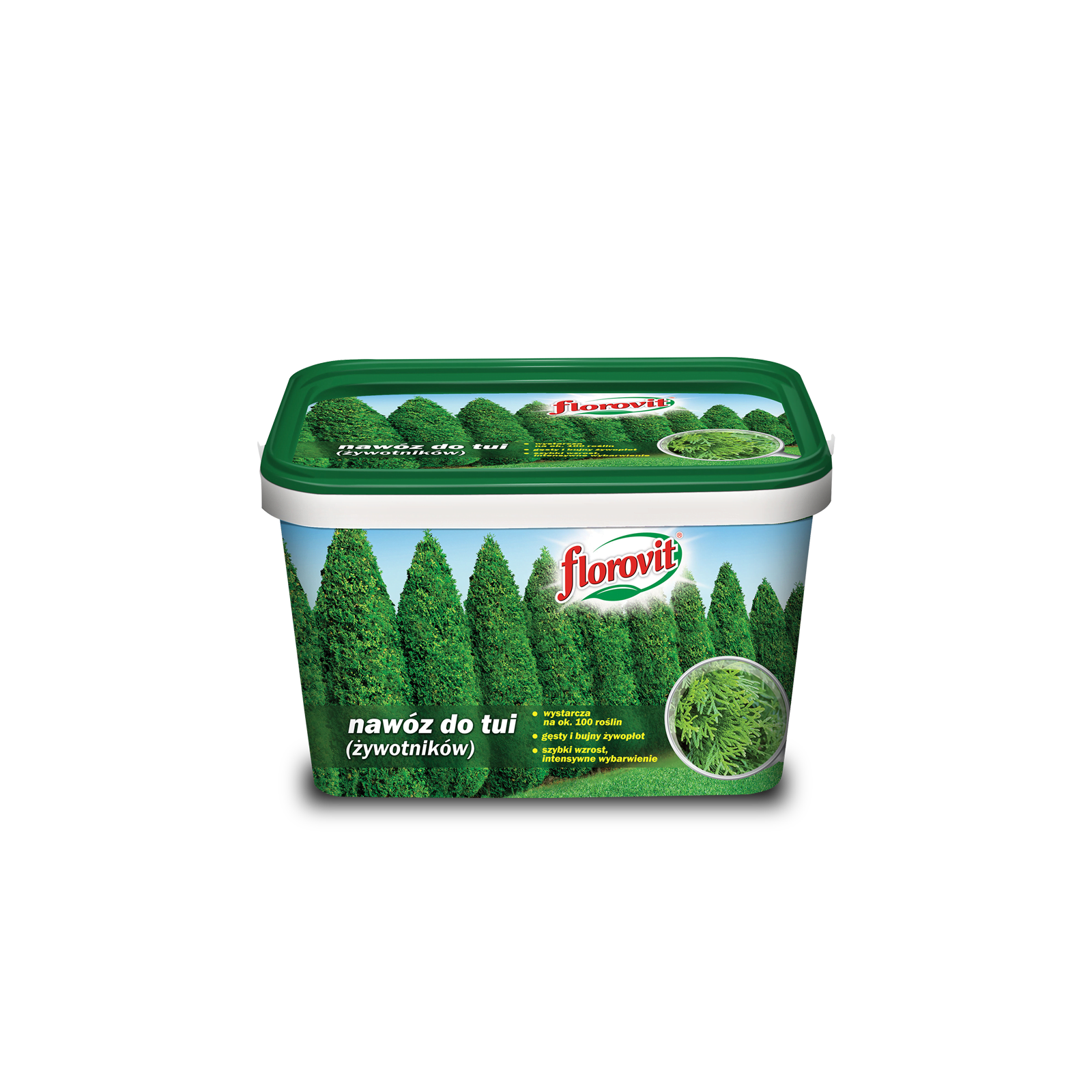 Florovit nawóz do tui  4 kg