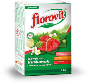 Florovit nawóz do truskawek