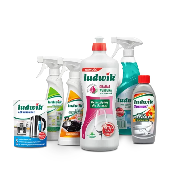 Ludwik zestaw do kuchni + płyn do naczyń za 1 zł
