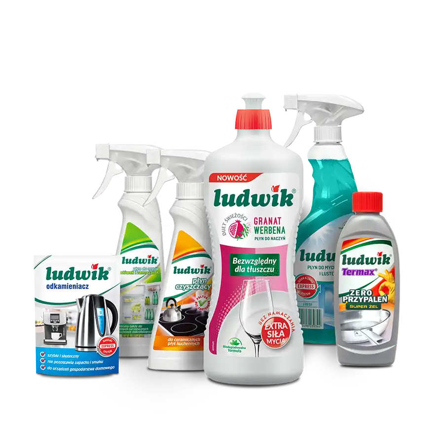 Ludwik zestaw do kuchni + płyn do naczyń za 1 zł