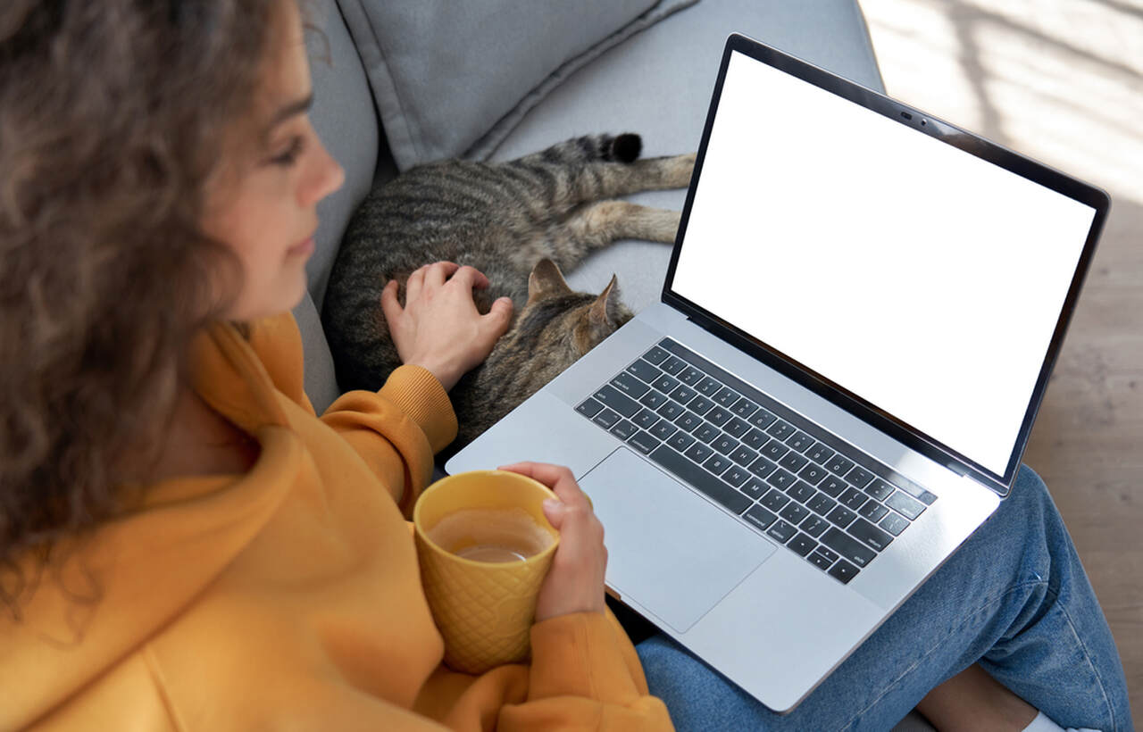 dziewczyna z kotem używająca laptopa